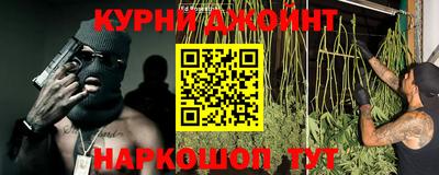 шишки Гатчина