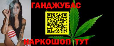 шишки Гатчина
