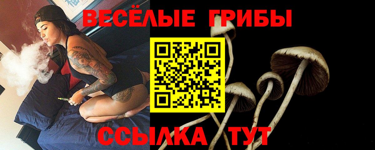 Галлюциногенные грибы прущие грибы  Псилоцибиновые грибы GOLDEN TEACHER  Вход с VPN  Вичуга 